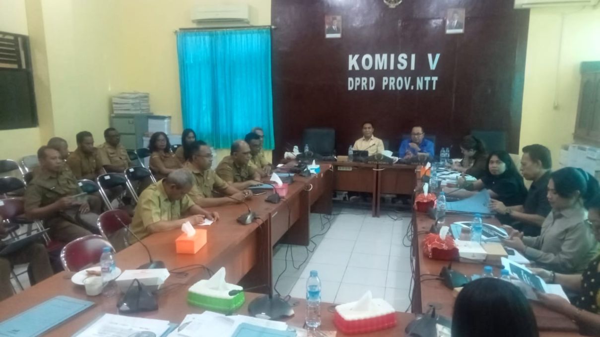 Dinas Sosial NTT Dorong Penguatan Perlindungan Sosial dalam Pembahasan KUA-PPAS APBD 2027